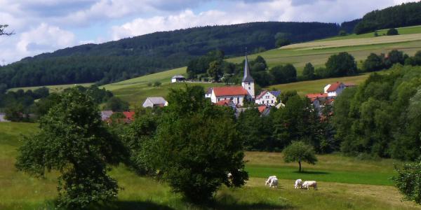 P1020619_bearbeitet-1