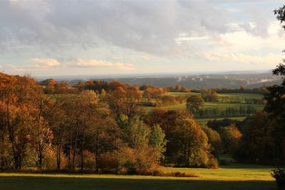 IMG_9164_bearbeitet-1