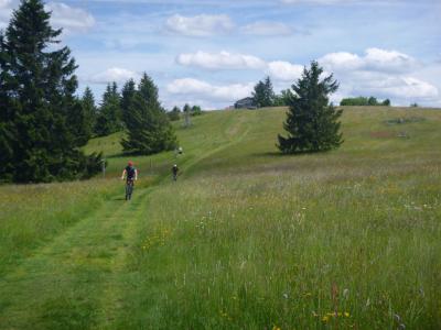 MTB, Gravel, Rhön, Kissinger Hütte